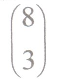 8_3.jpg