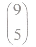9_5.jpg